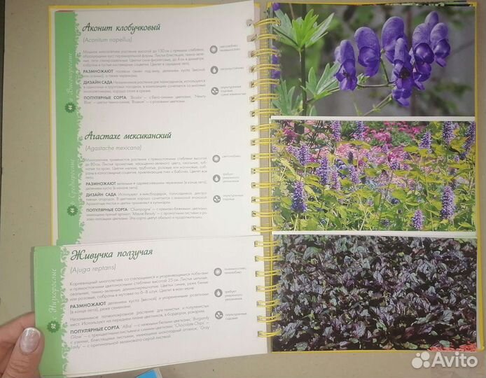 Книги для садоводов ландшафтного дизайна