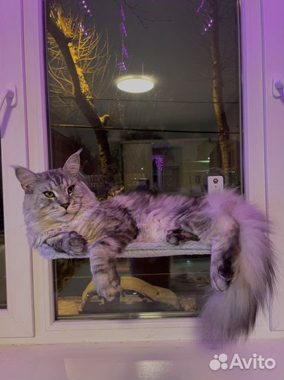 Гамак для животных