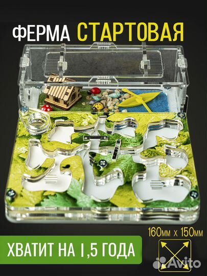 Муравьиная ферма