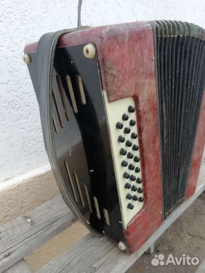 Гармонь шуйская