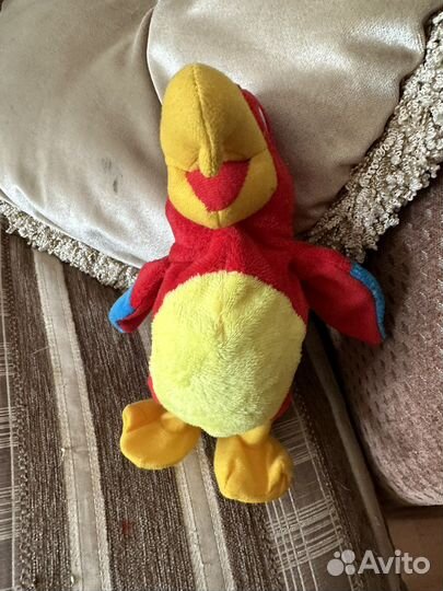 Попугай говорящий