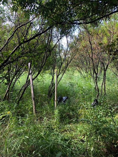 Участок 15 сот. (СНТ, ДНП)