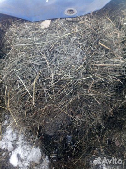 Сено в брикетах