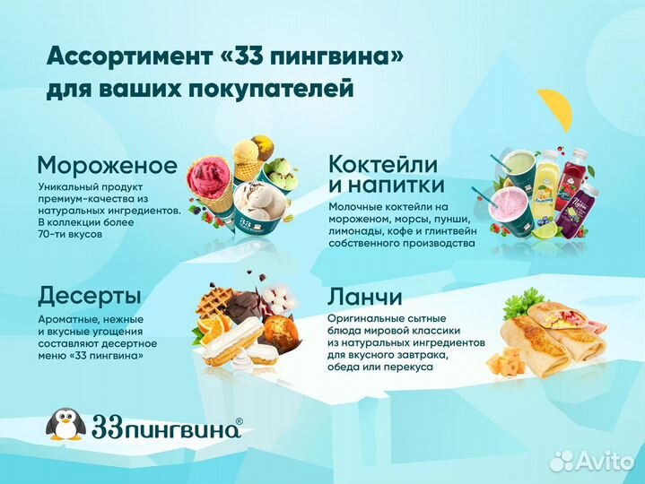 Франшиза мороженое «33 пингвина». Формат Павильон