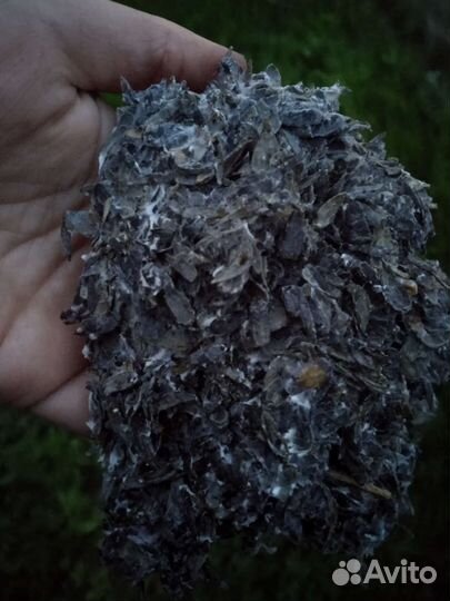 Отработанные грибные блоки лузга