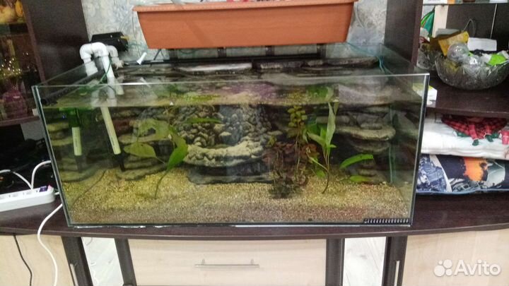 Аквариум