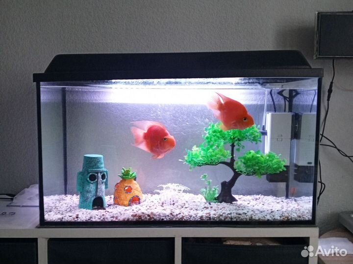 Аквариум с крышкой и подсветкой 75 литров