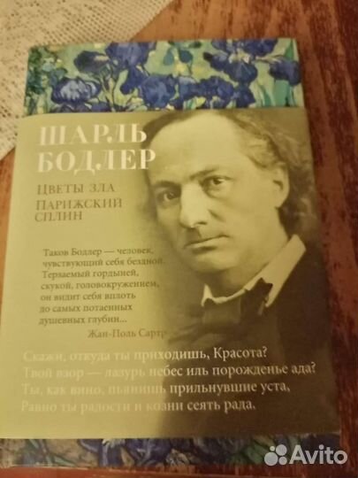 Ш.Бодлер. Цветы зла.Парижский сплин. Книга