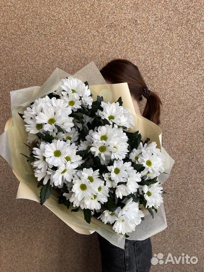 Цветы ромашки