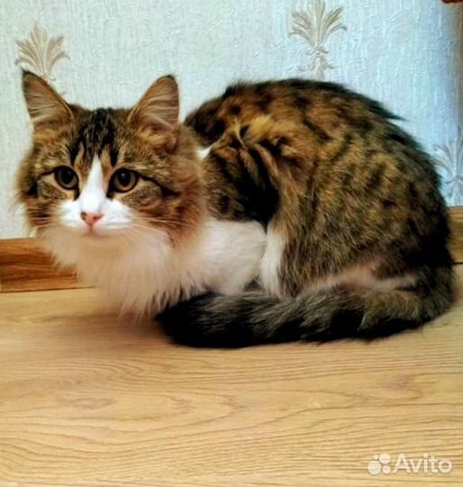 Мусенька 1,5 года