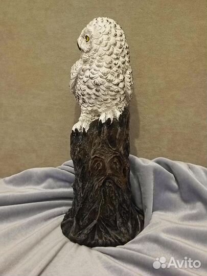 Сова Букля Гарри Поттера