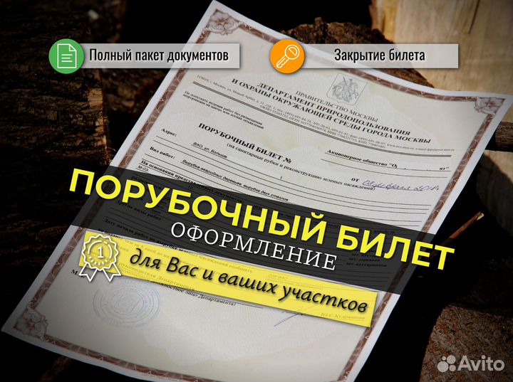 Спил и кронирование деревьев, расчистка участков