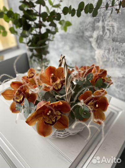 Корзина с орхидеями, цимбидиум, феленопсис
