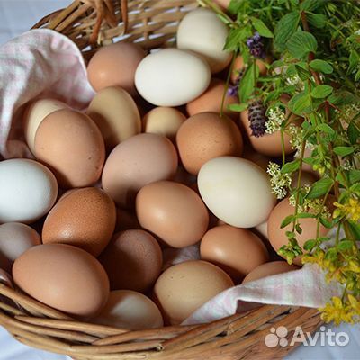 Упаковщицы(ки) на птицефабрику Вахта Новосибирск