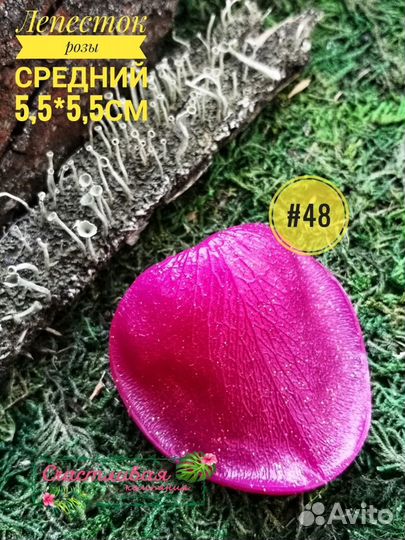 Молд земляники, одуванчика, розы и др