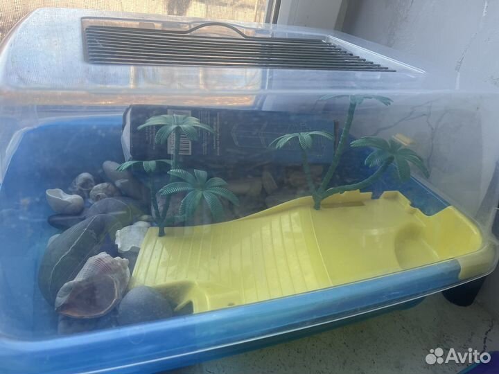 Аквариум для черепах