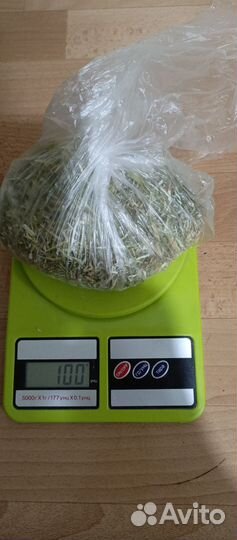 Дрок красильный для щитовидки, сухое сырье