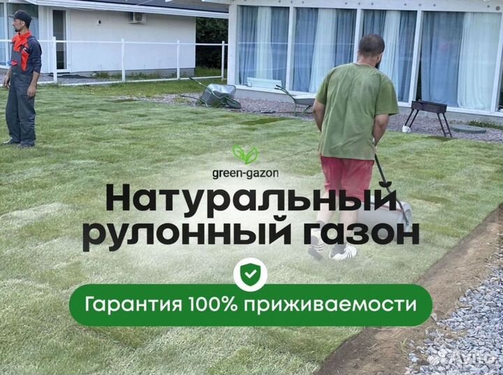 Качественный газон премиальный