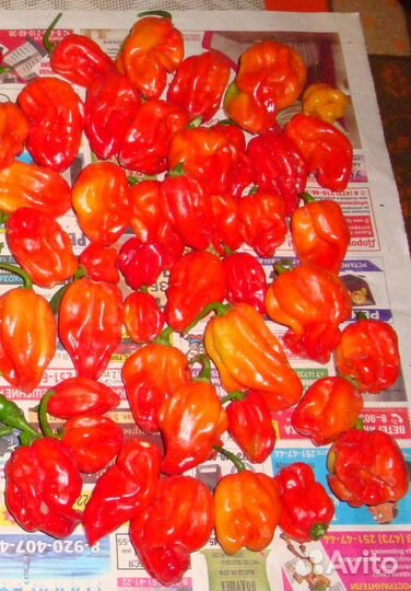 Шрирача Carolina Reaper, Халапеньо, Trinidad S