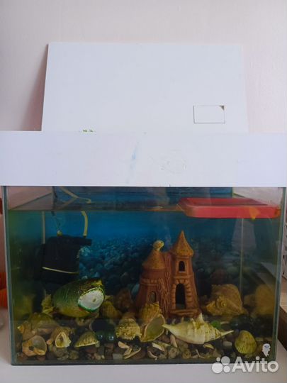 Аквариум