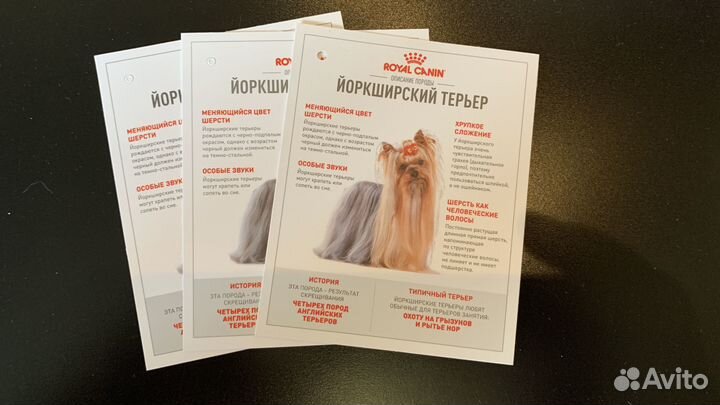 Карточки Royal Canin