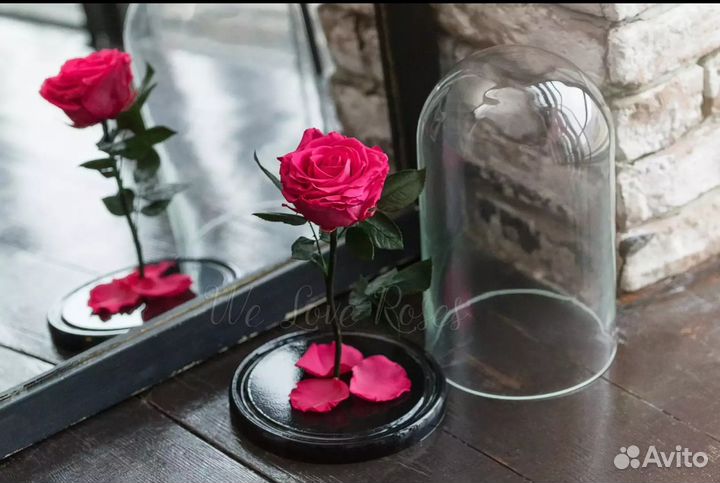 Роза в колбе(живая роза,простоит 5лет)