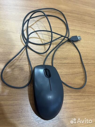 Мышь