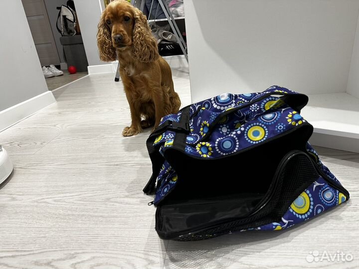 Сумка для животных