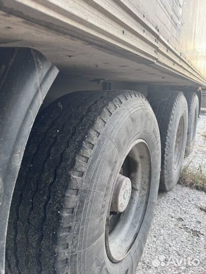 Renault Magnum с полуприцепом, 2000