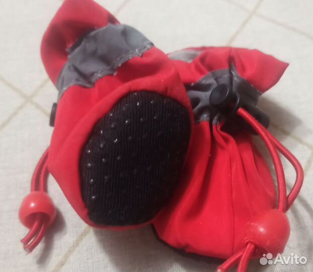 Обувь для собак