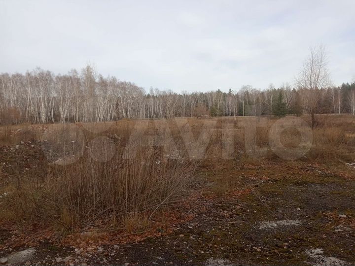 Участок 15,5 сот. (ИЖС)