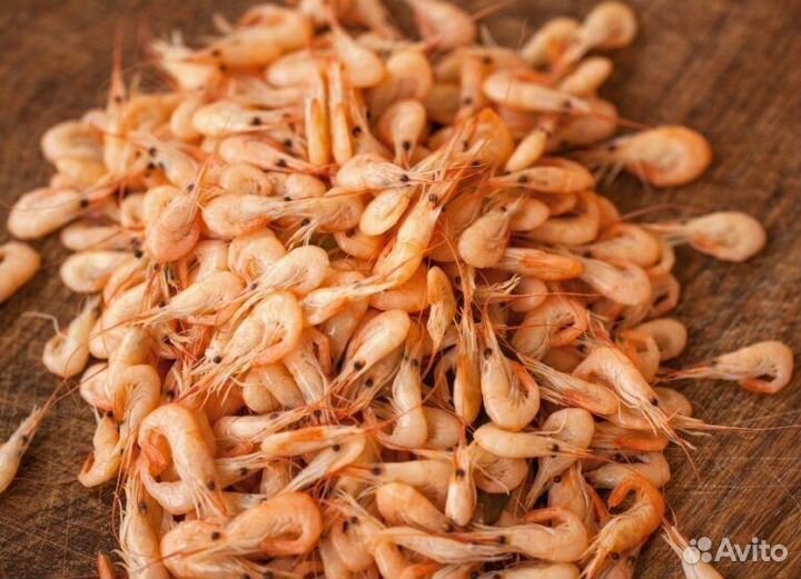 Азовская креветка опт