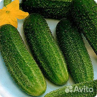 Семена огурцов, кабачков на развес
