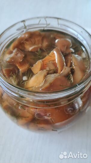 Грибы грузди соленые