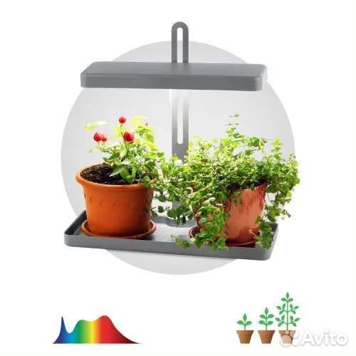 Фитолампа для растений новая эра fito-20W-qled-G