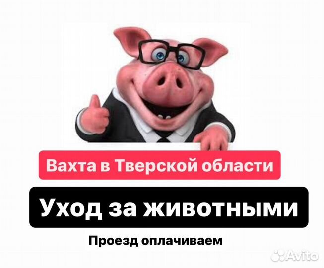 Сотрудники по кормлению животных. Вахта / Билет