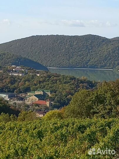 Отдых на черном море