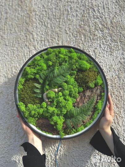 Панно из мха диаметр 40 см