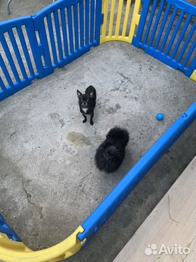 Миники готового размера