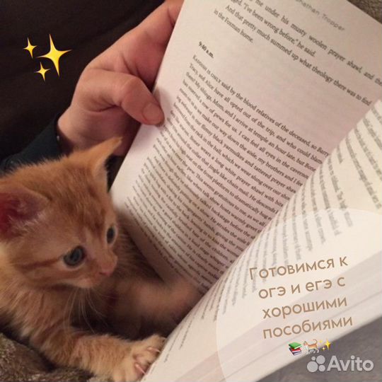 Цыбулько огэ 2019. Русский язык