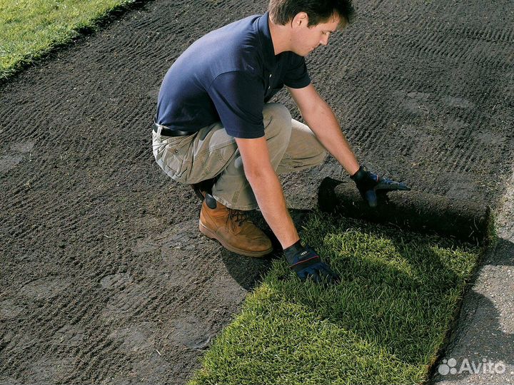 Газон рулонный спортивный. Укладка. Автополив