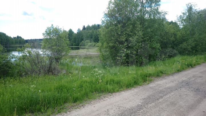 Участок 24 сот. (ИЖС)