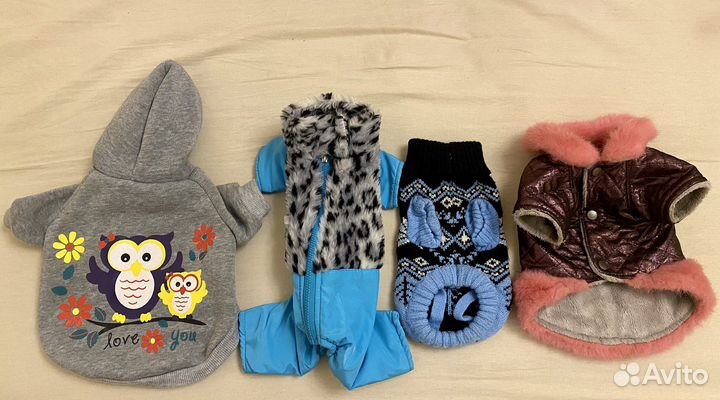 Одежда для той терьера