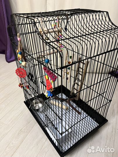 Клетка для среднего попугая со всем содержимым