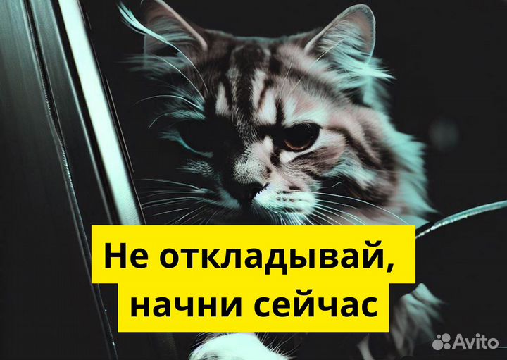 Вакансия: водитель Яндекс.GO
