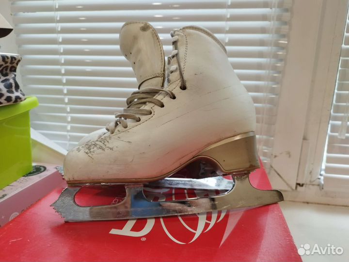 Фигурные коньки edea chorus 240