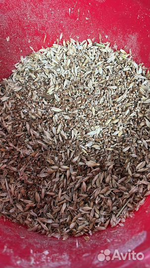 Отходы пшеницы