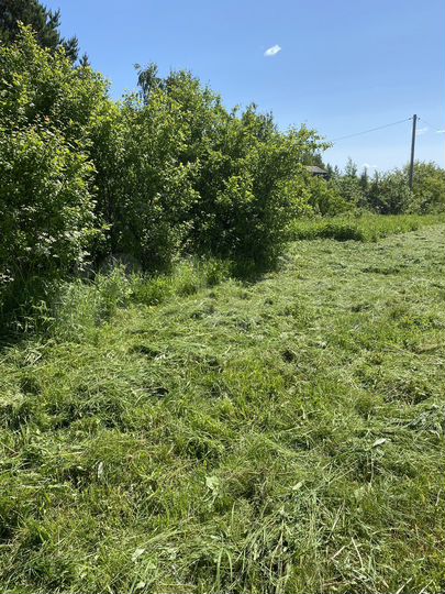 Участок 20 сот. (СНТ, ДНП)