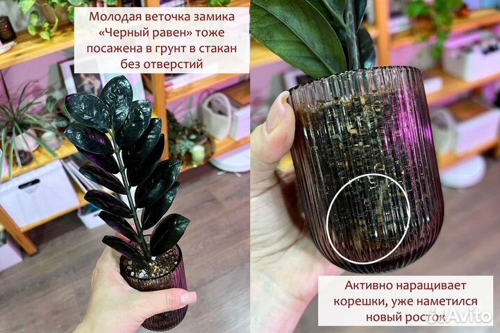 Универсальный авторский грунт для растений