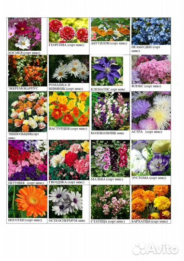 Семена цветов и овощей